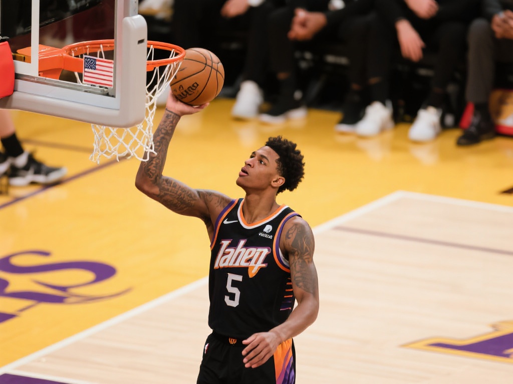 收入将用于 收入将用于